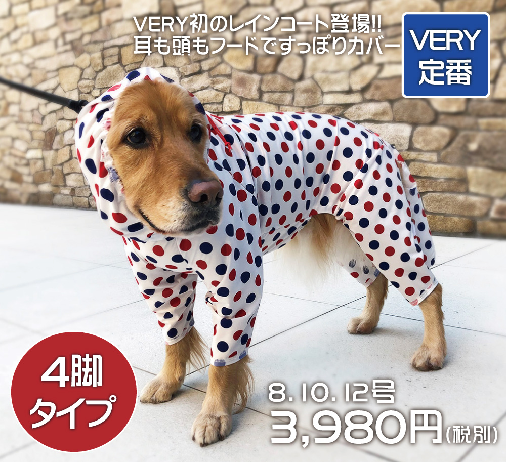 f:id:harukazepc:20200626183148j:image:w650 f:id:harukazepc:20200626183148j:image:w650