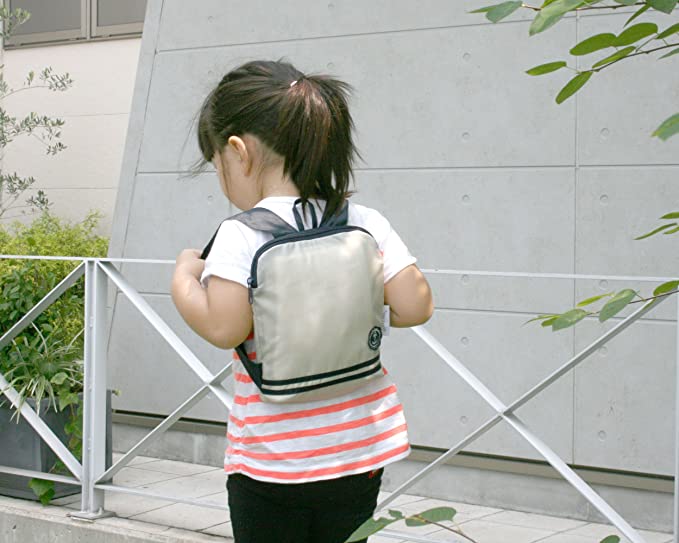 f:id:harukazepc:20201203133658j:image:w600