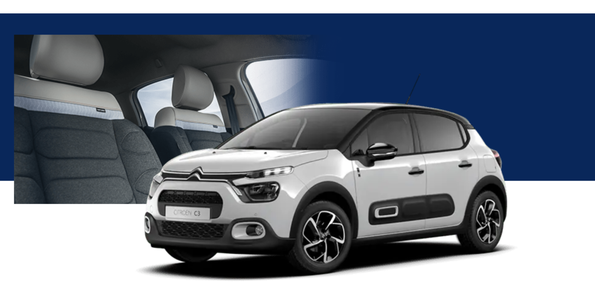 シトロエン セントジェームス Saint James ボーダー ネイビー セント