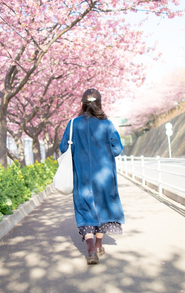 f:id:harukazu1:20190227131910j:plain