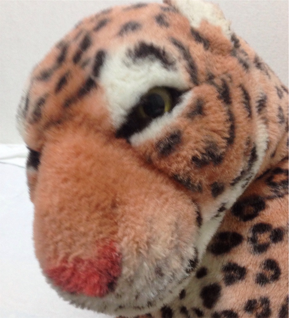 f:id:harukazu1:20190308204602j:image f:id:harukazu1:20190308204602j:image