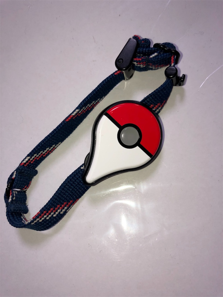 f:id:harukazu1:20190317145628j:image