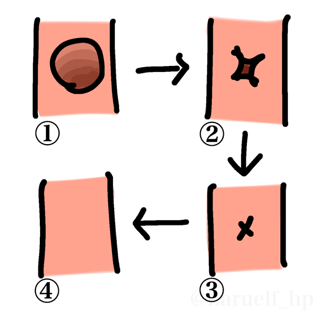 f:id:harukazu1:20220912102818p:image f:id:harukazu1:20220912102818p:image