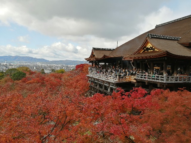 f:id:haruki046:20211128175126j:image f:id:haruki046:20211128175126j:image