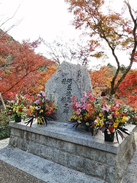 f:id:haruki046:20211128175201j:image f:id:haruki046:20211128175201j:image