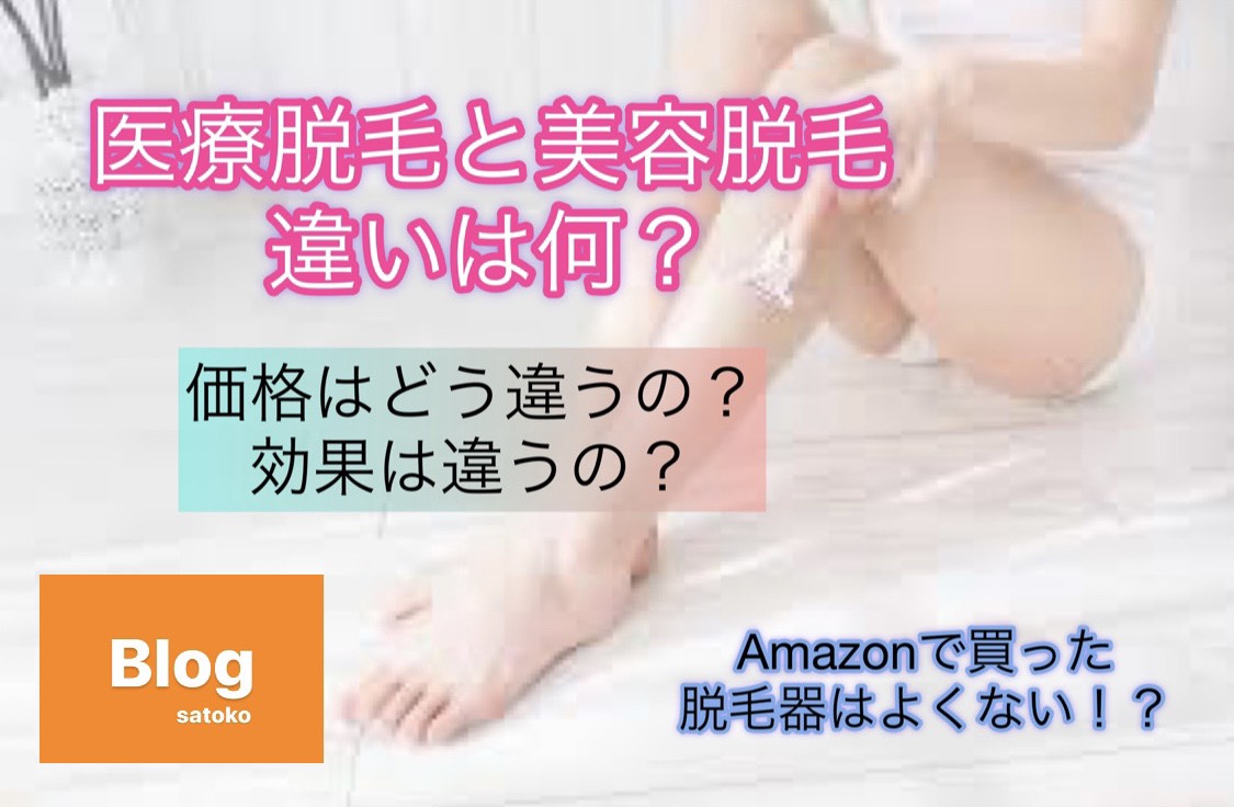 f:id:haruki8282:20210213114105j:plain