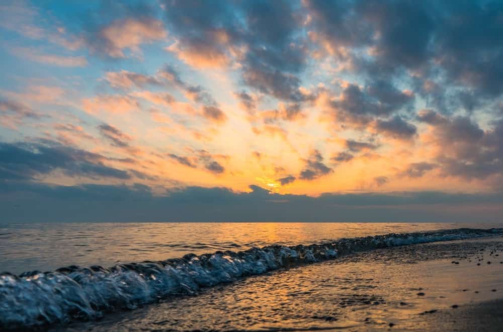 f:id:haruki_835:20190331133254j:plain