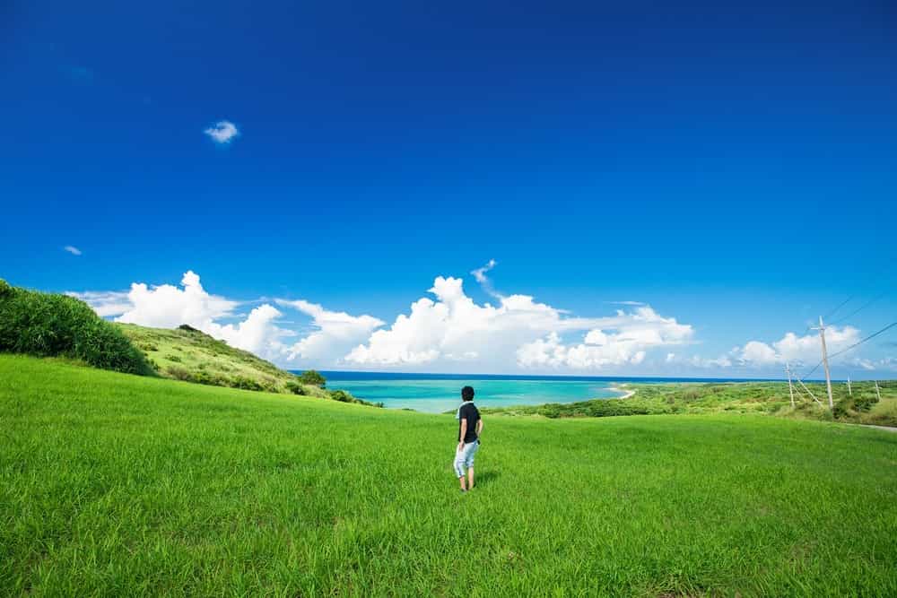 f:id:haruki_835:20190426082453j:plain f:id:haruki_835:20190426082453j:plain