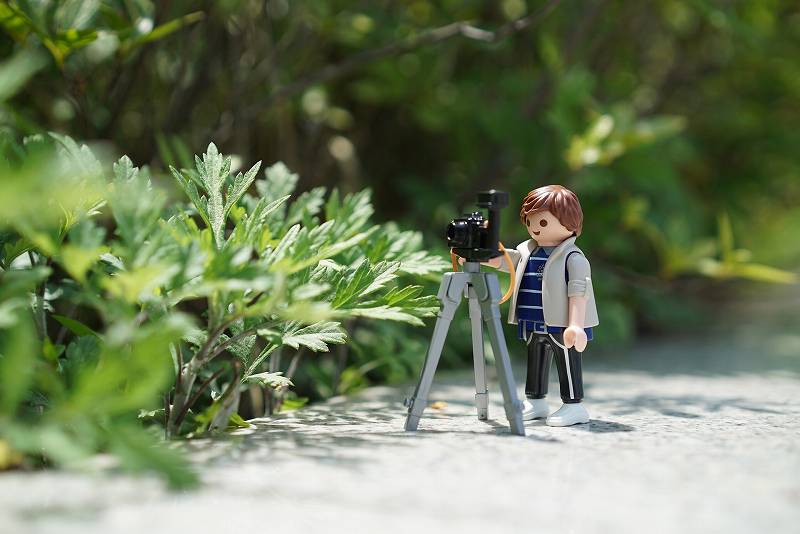f:id:haruki_835:20190514073916j:plain f:id:haruki_835:20190514073916j:plain