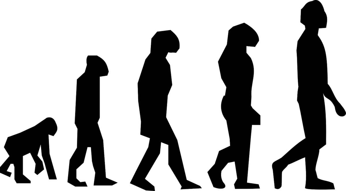 f:id:haruki_835:20190517074737p:plain f:id:haruki_835:20190517074737p:plain