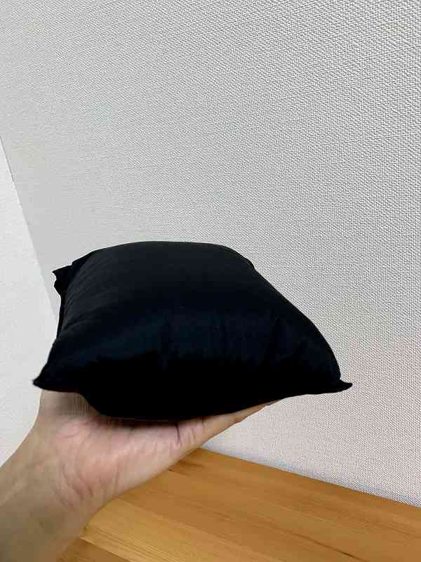 f:id:haruki_835:20191220101717j:plain