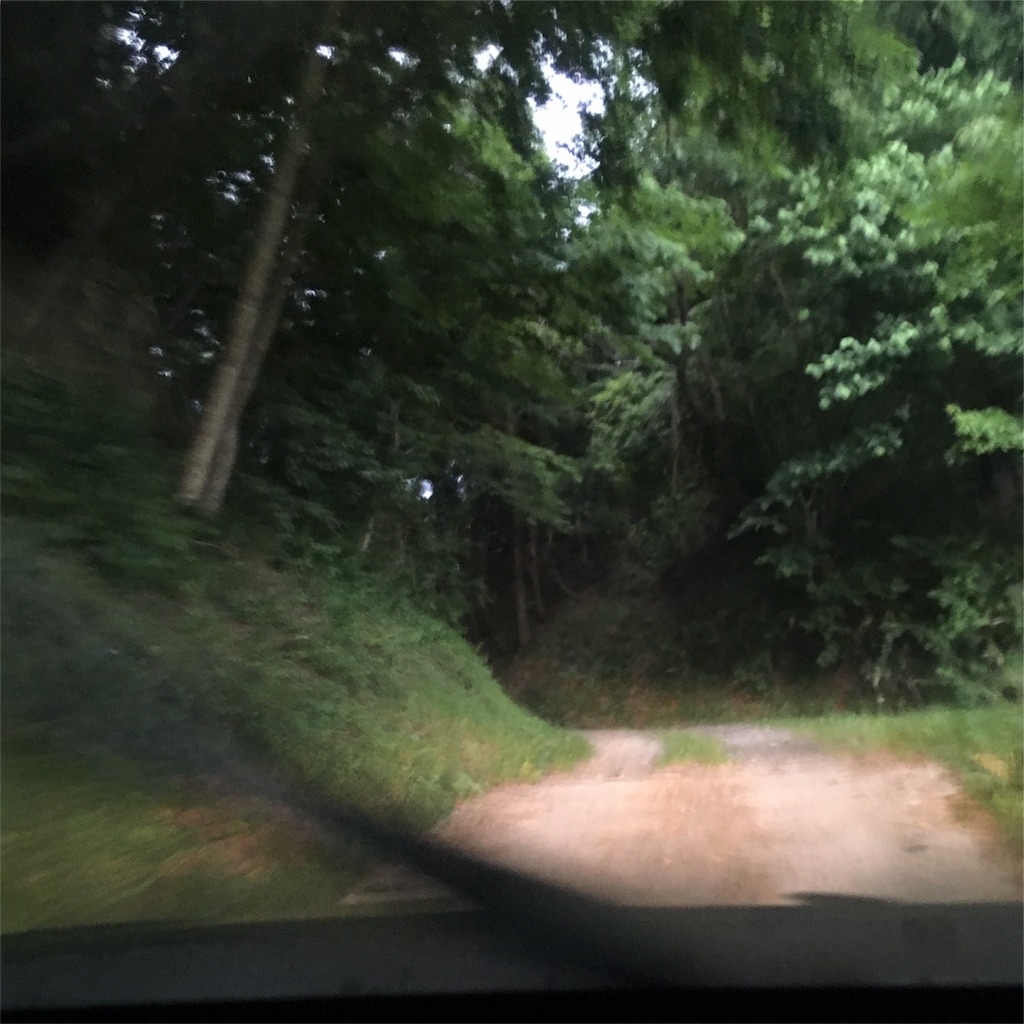 f:id:haruki_mattari:20180628183133j:plain オートキャンプいわしろ高原への道2