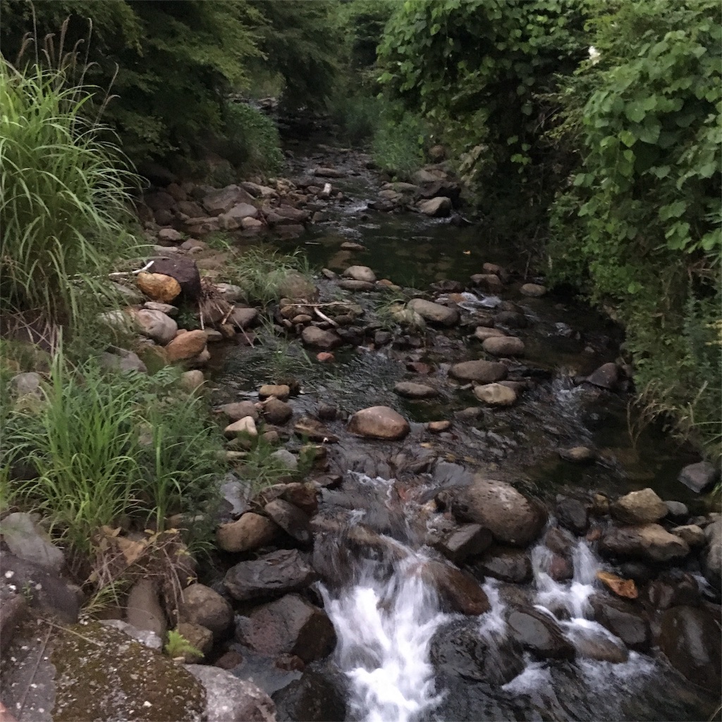 f:id:haruki_mattari:20180723070211j:image f:id:haruki_mattari:20180723070211j:image