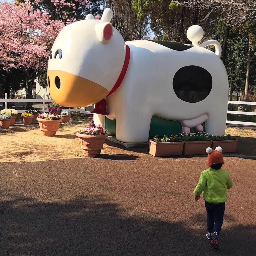 f:id:haruki_mattari:20190319104210j:image f:id:haruki_mattari:20190319104210j:image