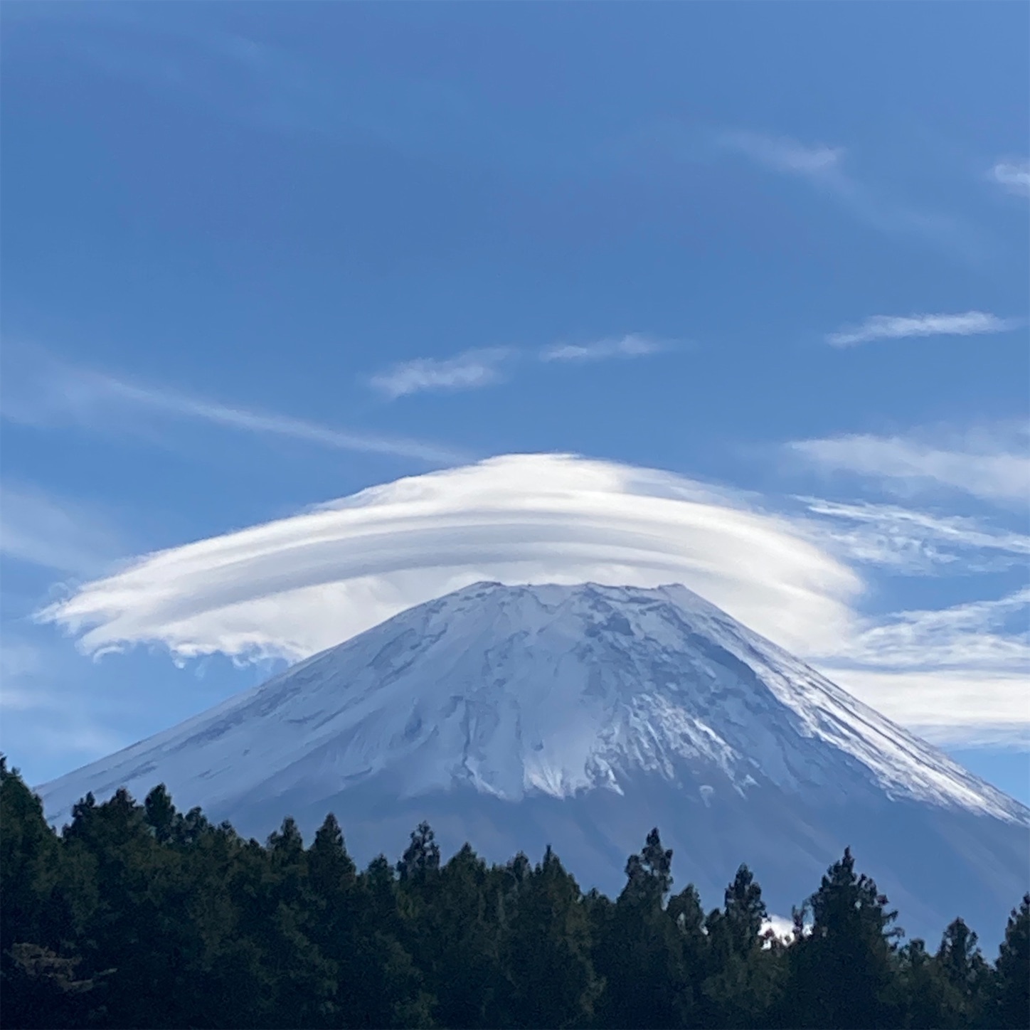 f:id:haruki_mattari:20201020160112j:plain f:id:haruki_mattari:20201020160112j:plain