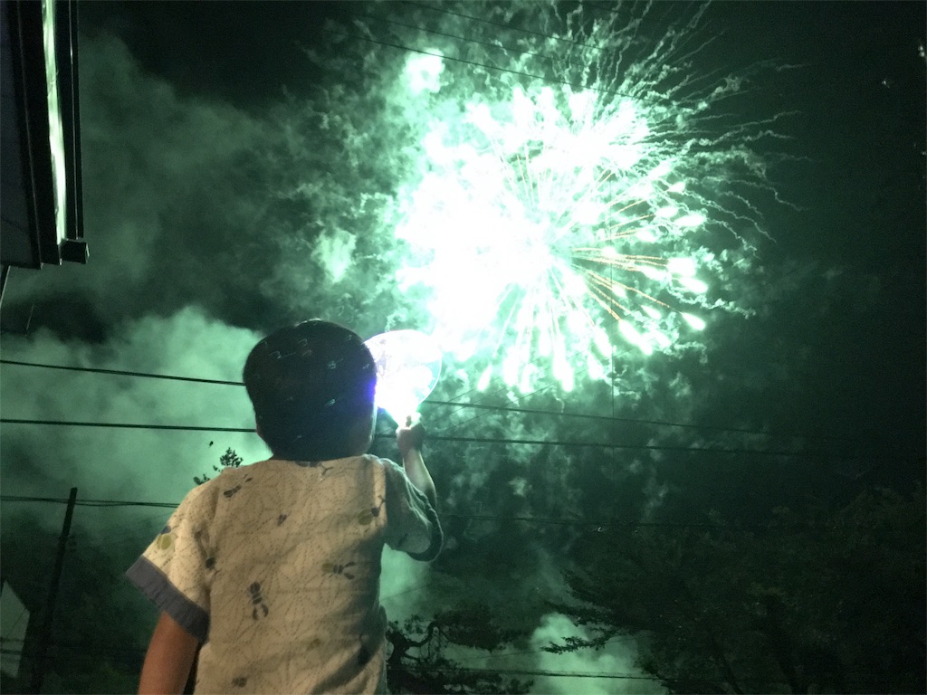 f:id:haruking-papa:20180818230635j:image