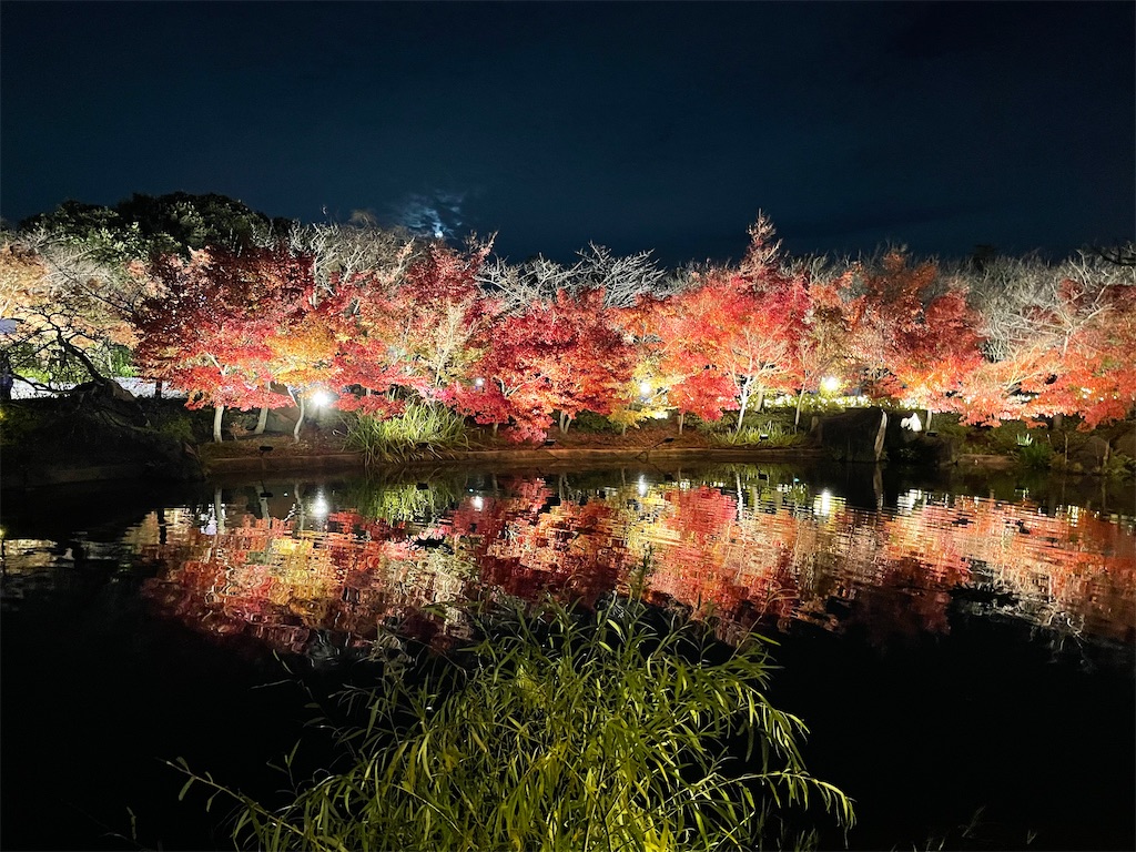 f:id:harukirokukun:20230122223028j:image f:id:harukirokukun:20230122223028j:image