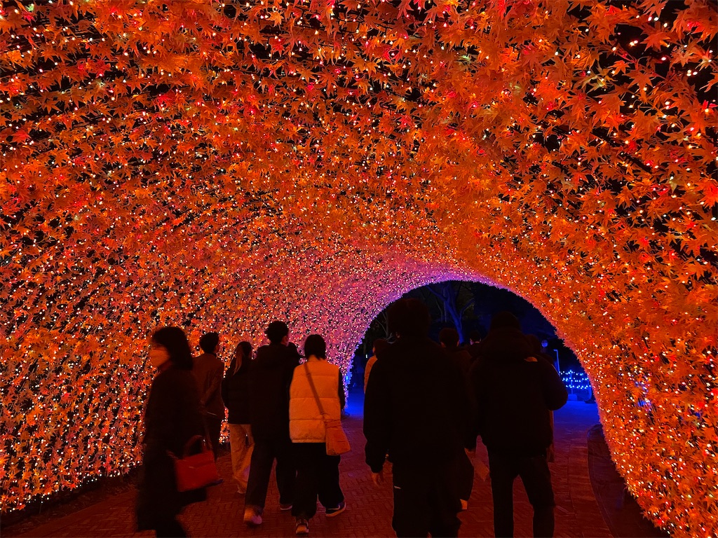 f:id:harukirokukun:20230123084616j:image f:id:harukirokukun:20230123084616j:image