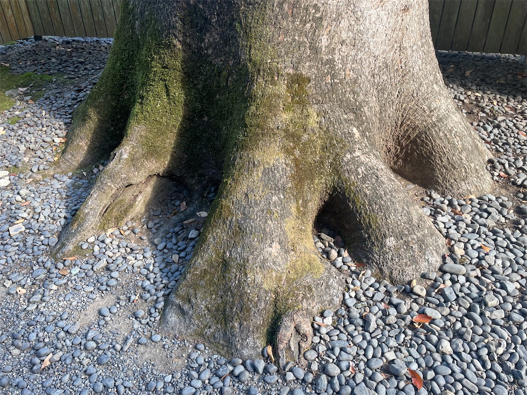 f:id:harukirokukun:20230124004604j:image f:id:harukirokukun:20230124004604j:image