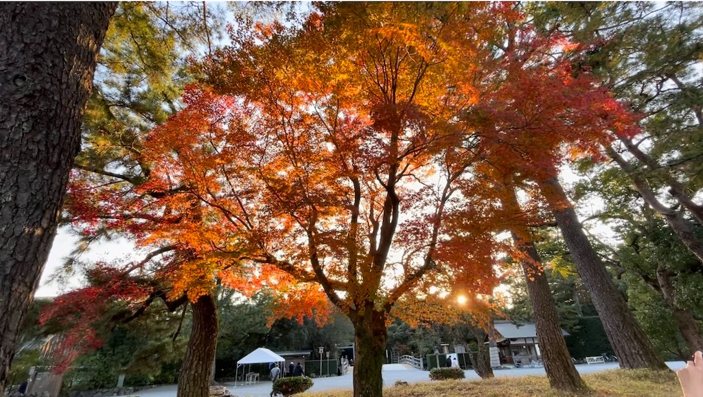 f:id:harukirokukun:20230124004651j:image f:id:harukirokukun:20230124004651j:image