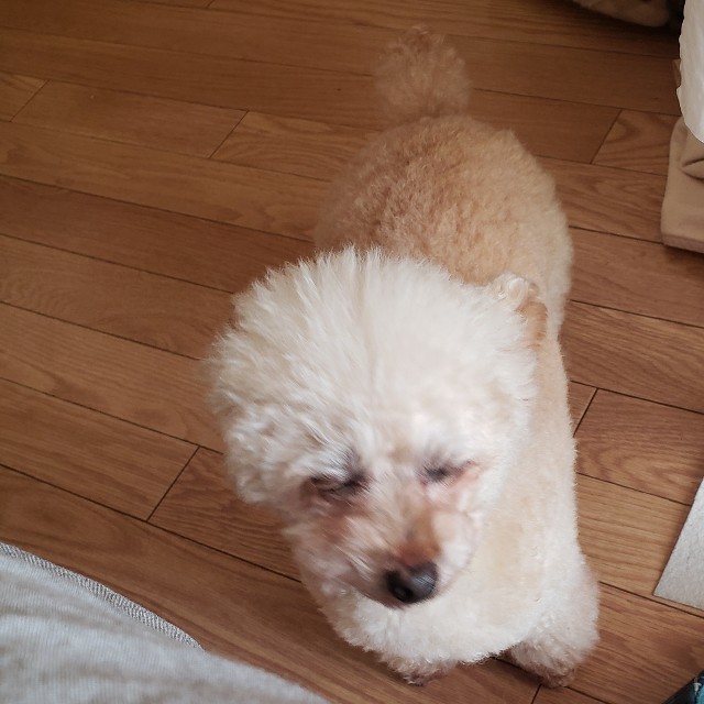 f:id:haruko31:20190118201635j:image
