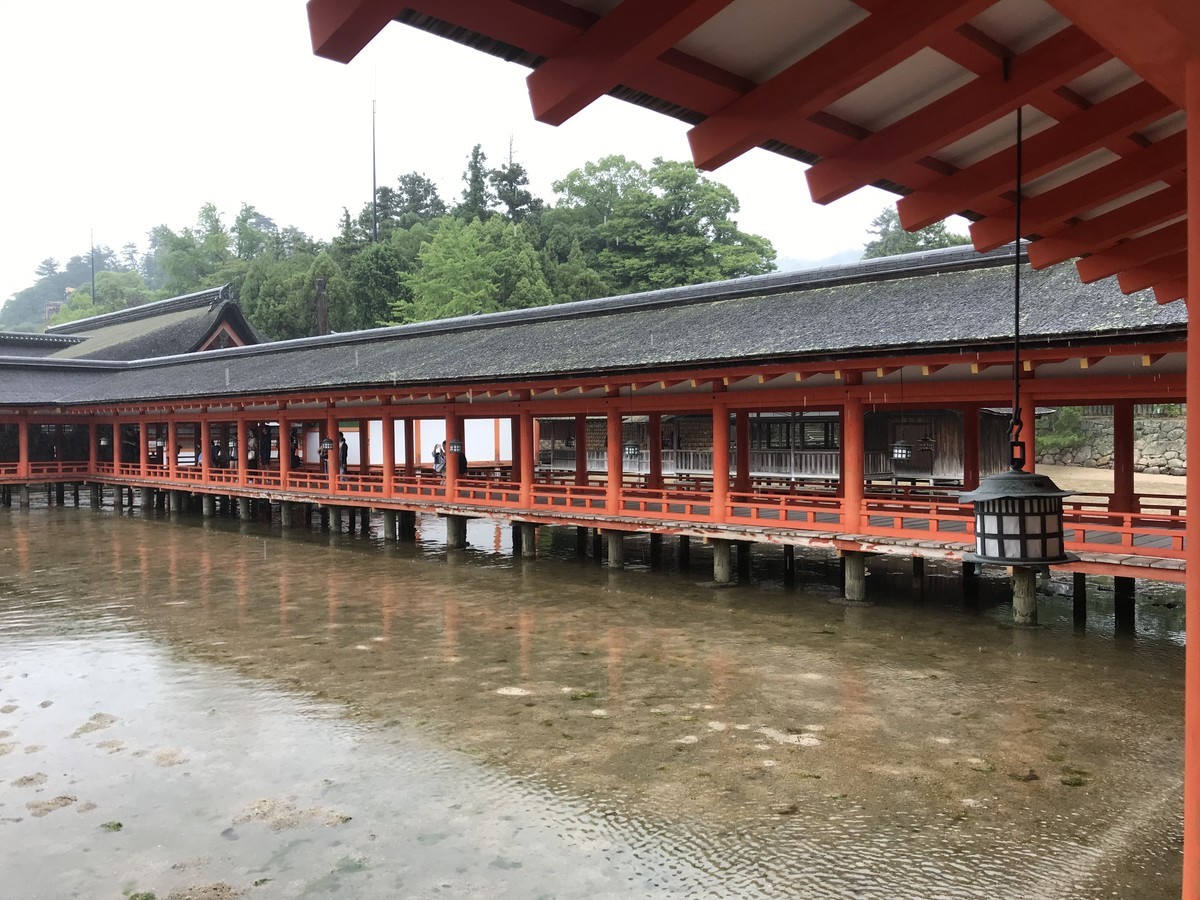 f:id:haruko41:20190710162345j:plain