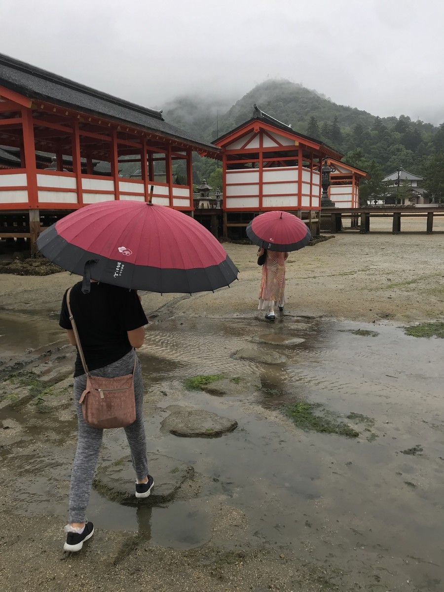 f:id:haruko41:20190711082615j:plain