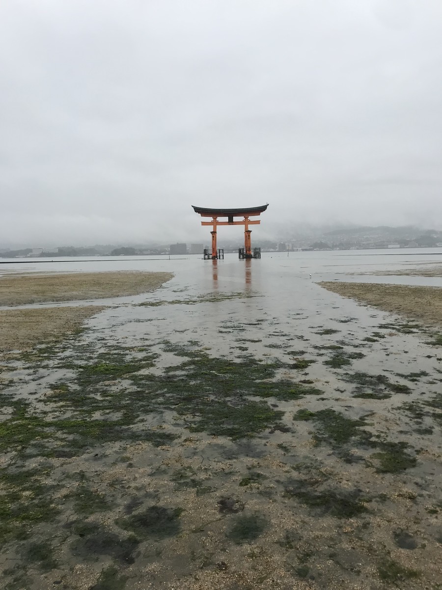 f:id:haruko41:20190711082725j:plain