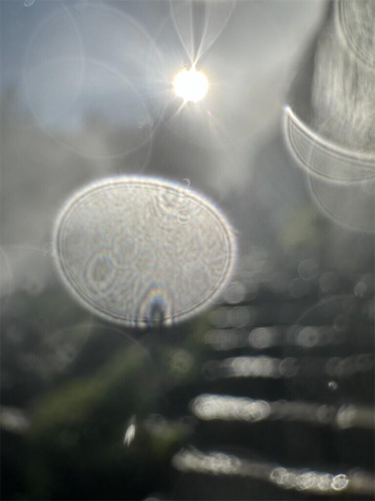 f:id:haruko41:20230624041452j:image