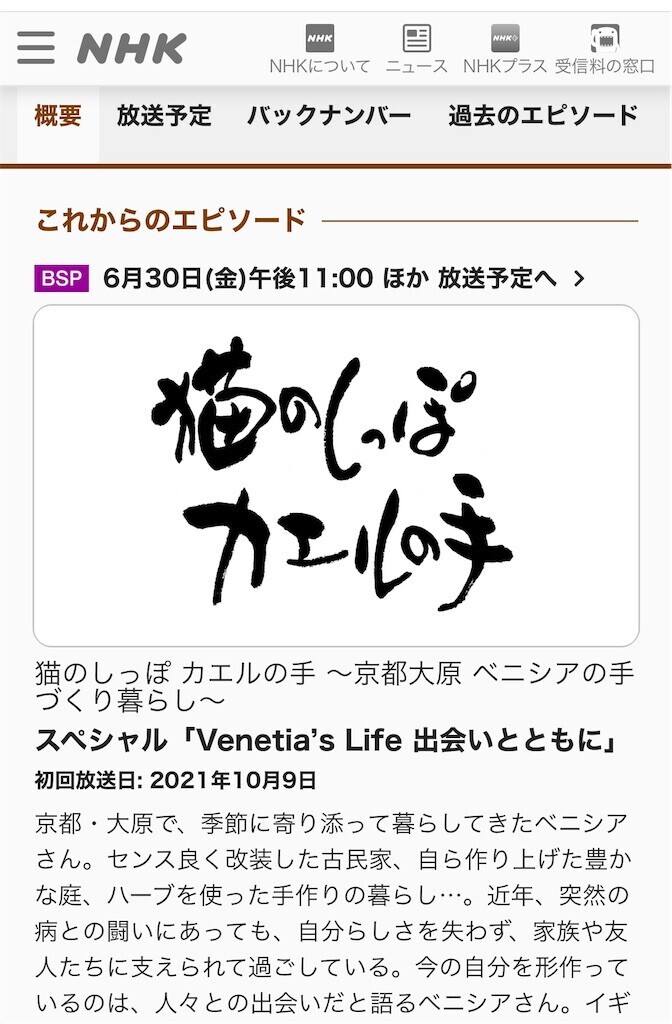 f:id:haruko41:20230702200831j:image