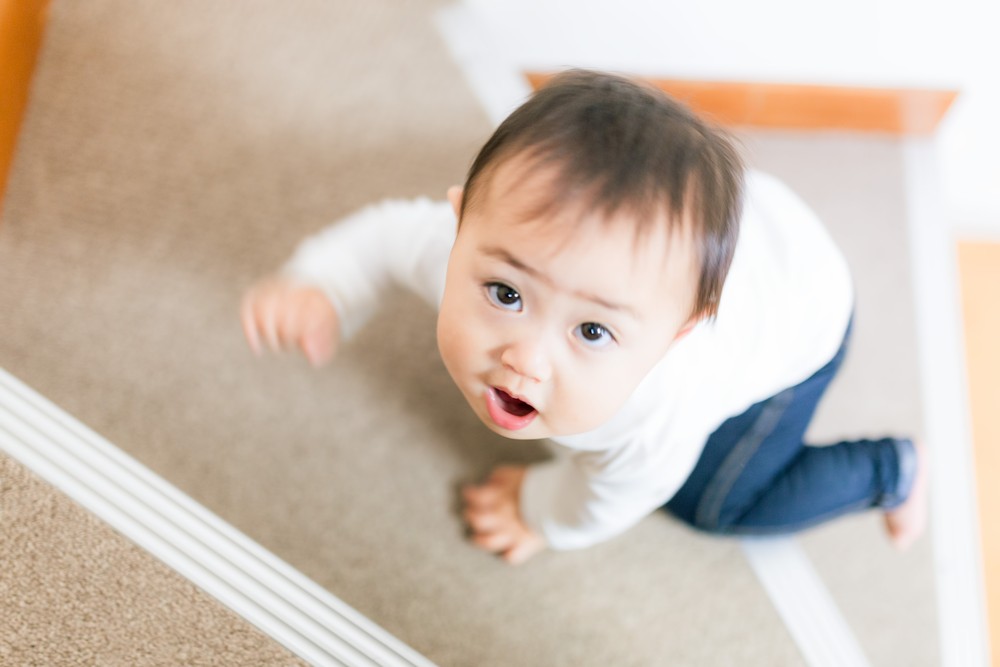 f:id:harukunmama:20151222215148j:plain f:id:harukunmama:20151222215148j:plain