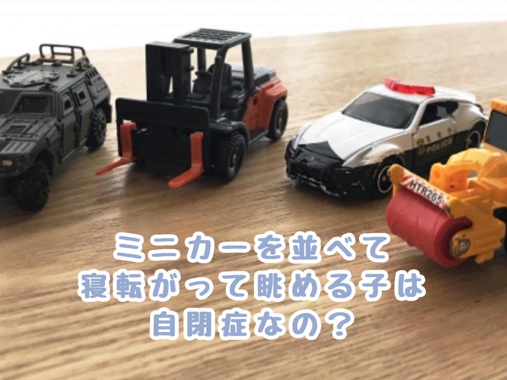 f:id:harukunmama:20190404222526j:plain f:id:harukunmama:20190404222526j:plain