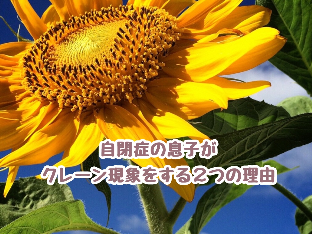 f:id:harukunmama:20190404231546j:plain f:id:harukunmama:20190404231546j:plain