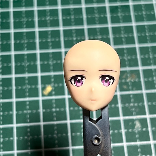 f:id:harumaki21:20230605073403j:image