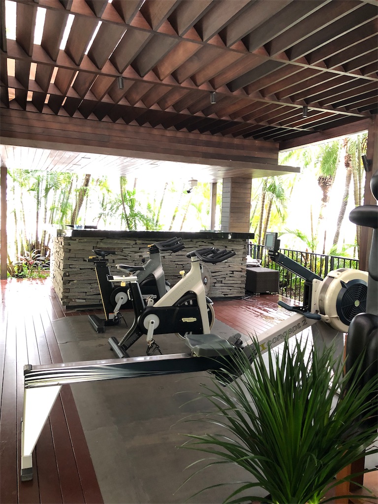 f:id:harumxyz:20190711222816j:image