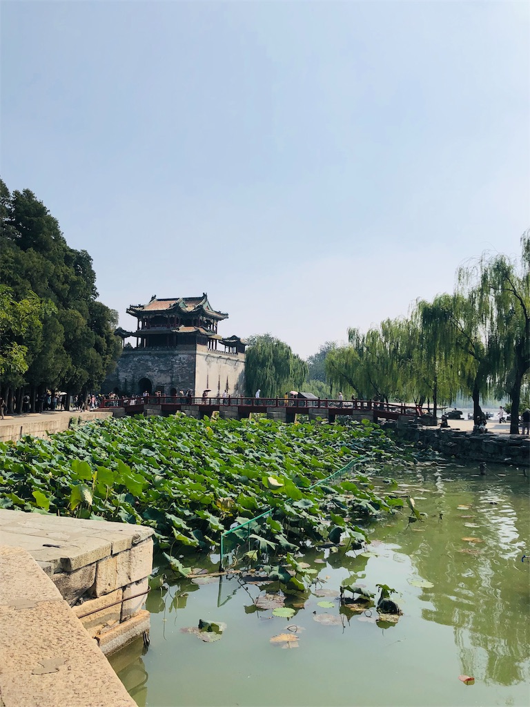 f:id:harumxyz:20191007222418j:image