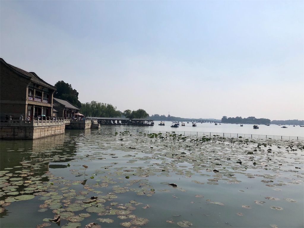 f:id:harumxyz:20191007222434j:image