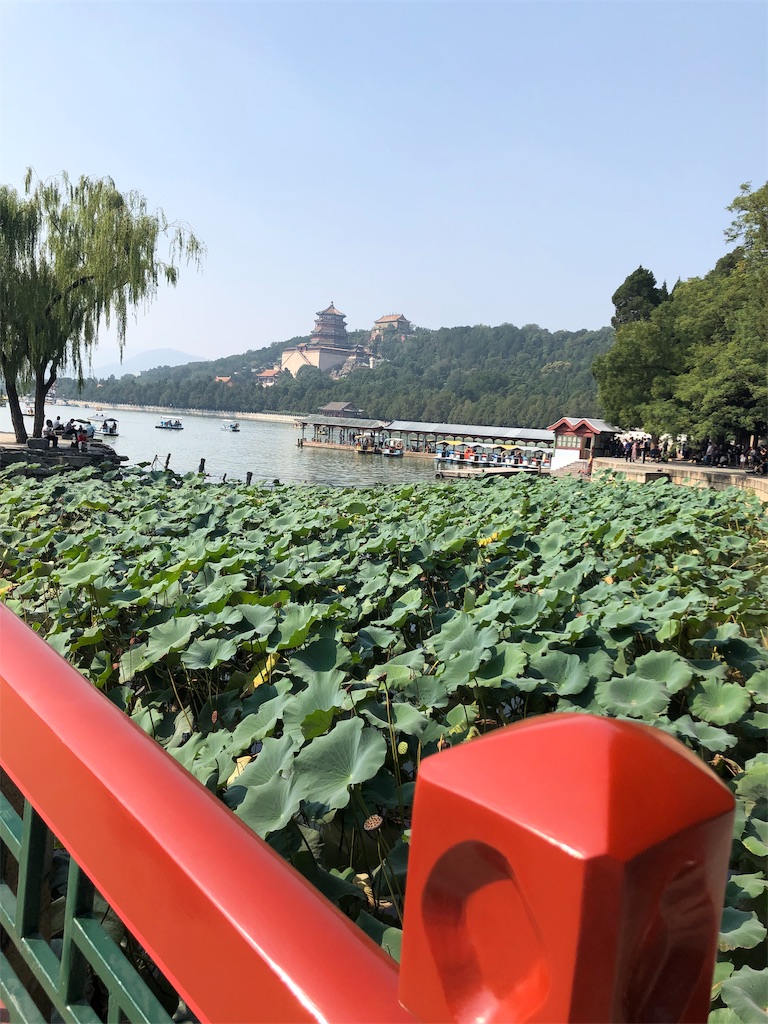 f:id:harumxyz:20191007222450j:image