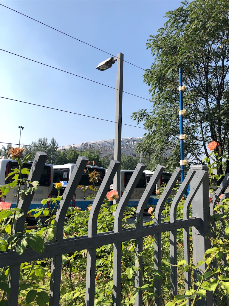 f:id:harumxyz:20191007222614j:image