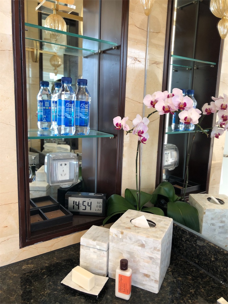 f:id:harumxyz:20191007222848j:image