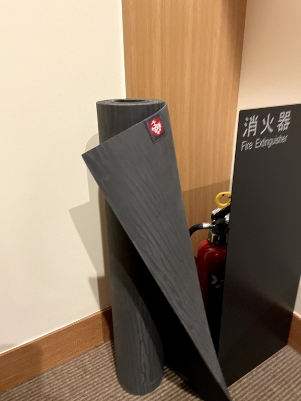 f:id:harumxyz:20210504160547j:plain
