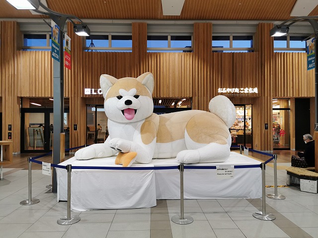 f:id:haruna115:20210311195950j:plain