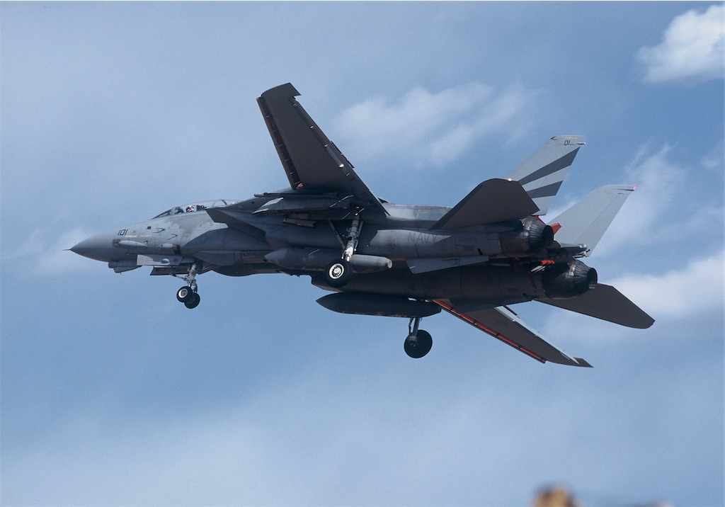 機種別アルバム】F-14A “トムキャット” - ハルナベース10grの飛行機