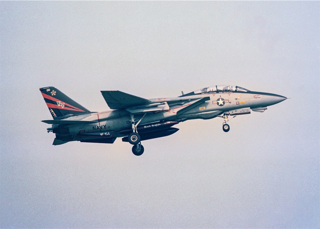 機種別アルバム】F-14A “トムキャット” - ハルナベース10grの飛行機