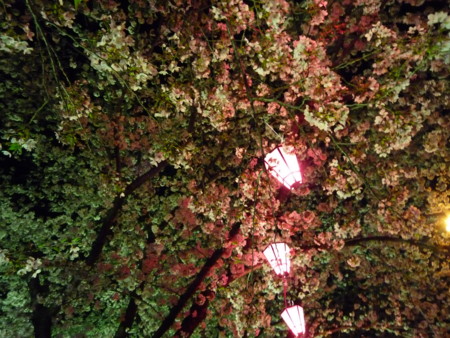 f:id:harunappa:20090409205835j:image