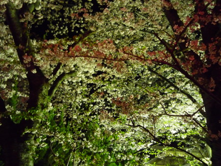 f:id:harunappa:20090409205959j:image
