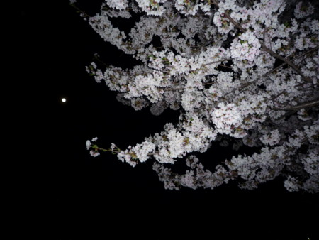 f:id:harunappa:20090409210802j:image