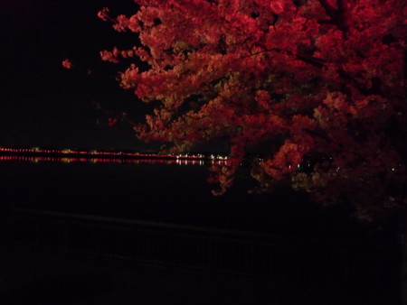 f:id:harunappa:20090409211102j:image