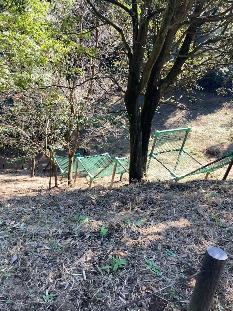 f:id:harunatsukosodateenikki:20221103194324j:image