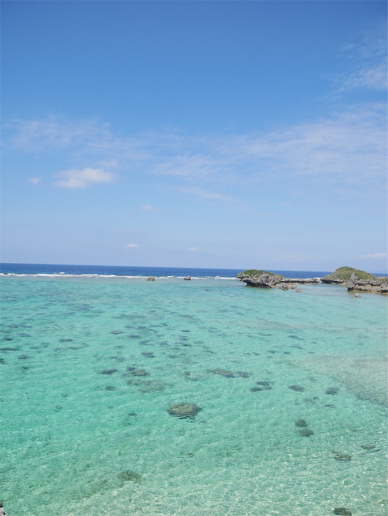 f:id:haruneeeeko:20190319165731j:image